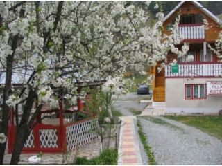 Pensiunea Vila Rustica, Albac - 1