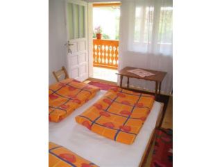 Pensiunea Vila Rustica, Albac - 3