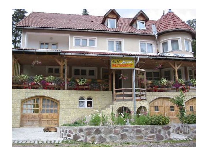Vila Apuseni, Arieseni - imaginea 
