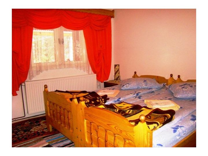 Camere de inchiriat Casa Dorina, Arieseni - imaginea