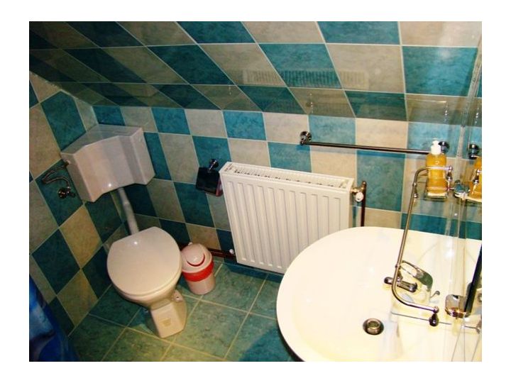 Camere de inchiriat Casa Dorina, Arieseni - imaginea