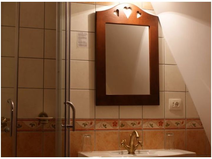 Pensiunea Casa Motului, Arieseni - imaginea 