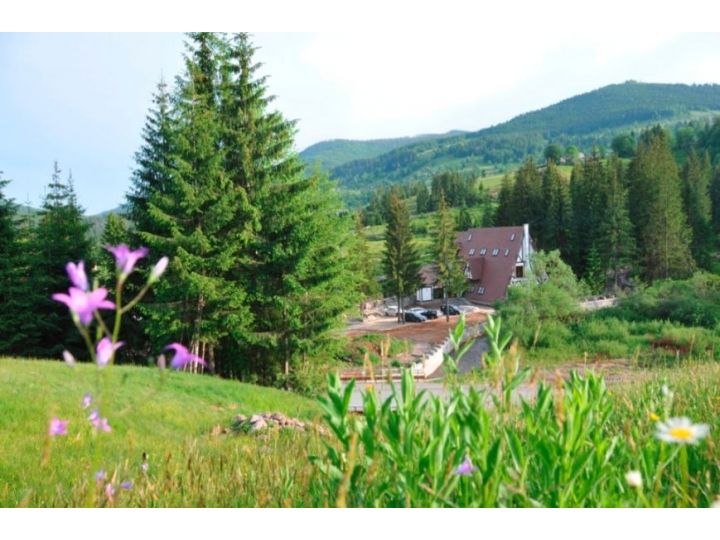 Pensiunea Casa Motului, Arieseni - imaginea 