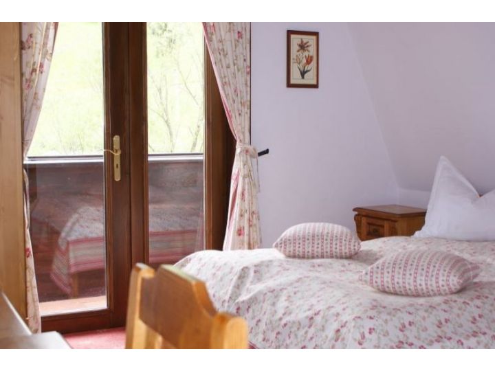 Pensiunea Casa Motului, Arieseni - imaginea 