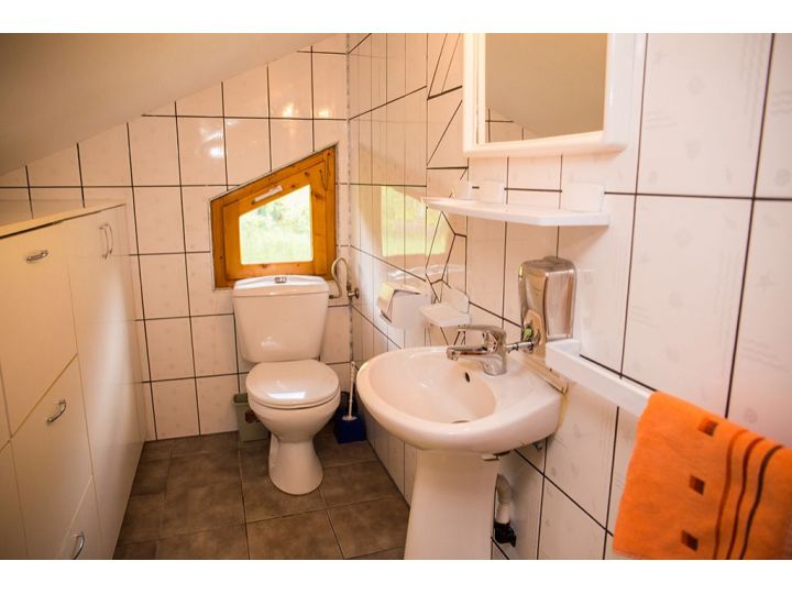 Cabana Casa De Vacanta Valisoara, Livezile - imaginea