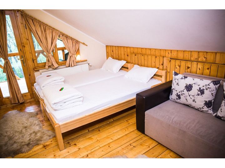 Cabana Casa De Vacanta Valisoara, Livezile - imaginea