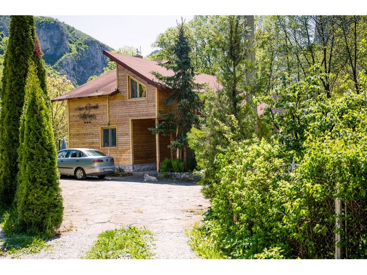 Cabana Casa De Vacanta Valisoara, Livezile - imaginea