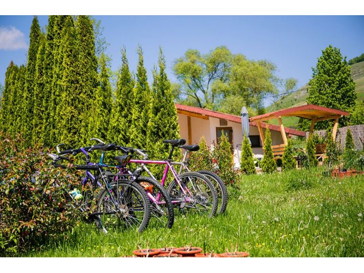 Cabana Casa De Vacanta Valisoara, Livezile - imaginea