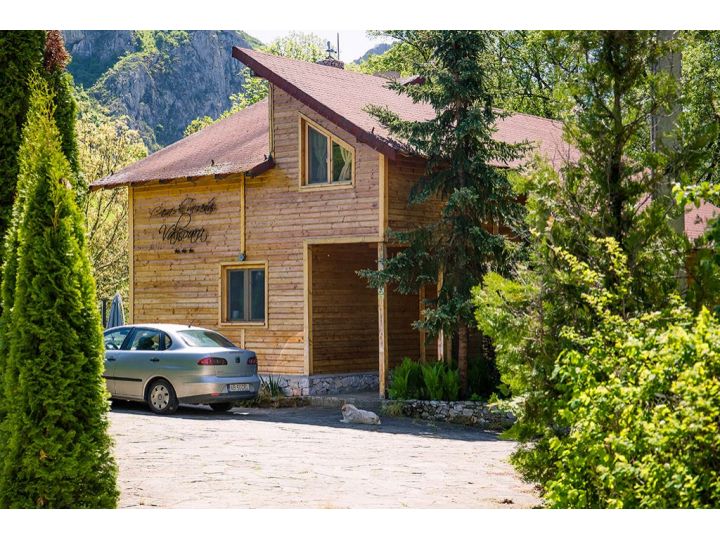 Cabana Casa De Vacanta Valisoara, Livezile - imaginea