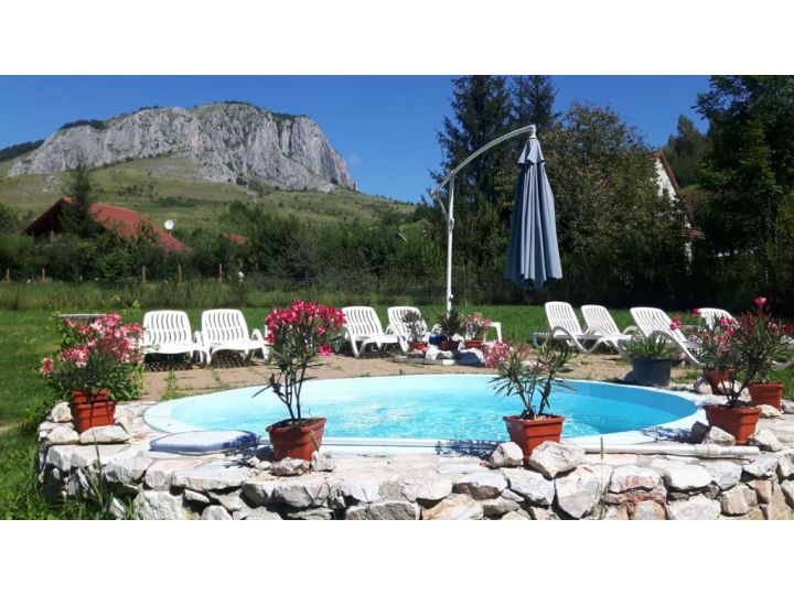 Cabana Casa De Vacanta Valisoara, Livezile - imaginea