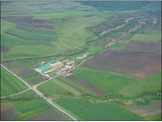Pensiunea Casa La Mesteceni, Rahau - 1
