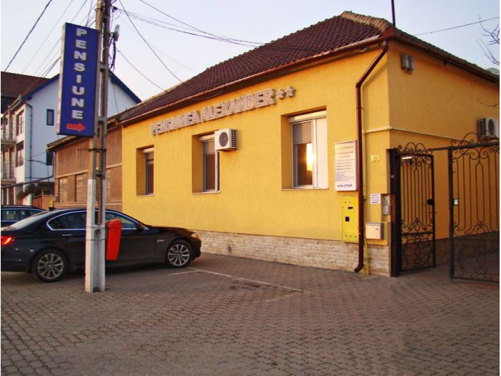 Pensiunea Alexander, Arad oras - imaginea 