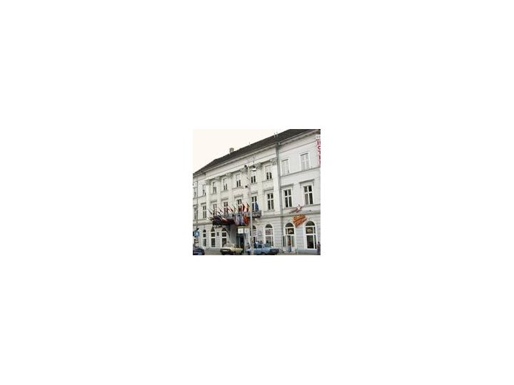 Hotel Ardealul, Arad oras - imaginea 