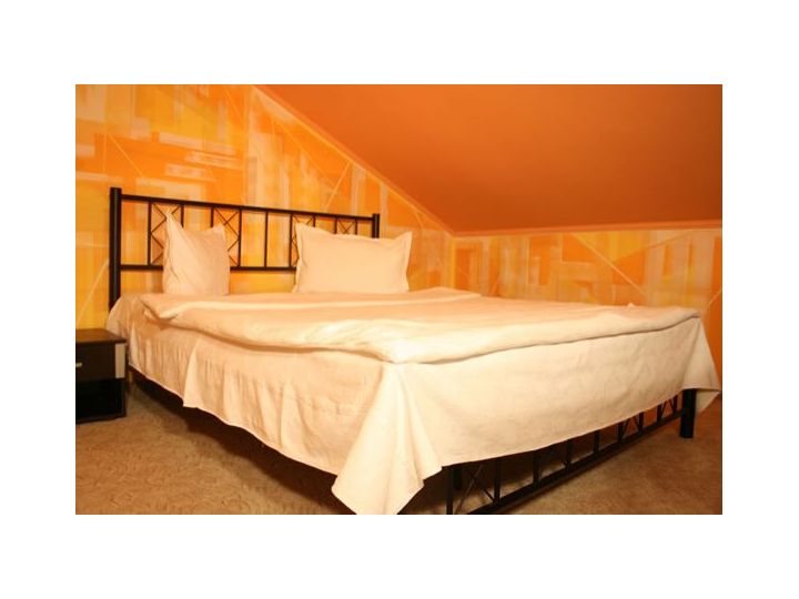 Hotel Cosmin, Arad oras - imaginea 