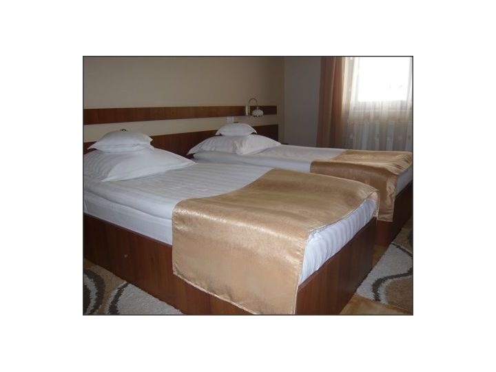 Hotel Crisana, Arad oras - imaginea 