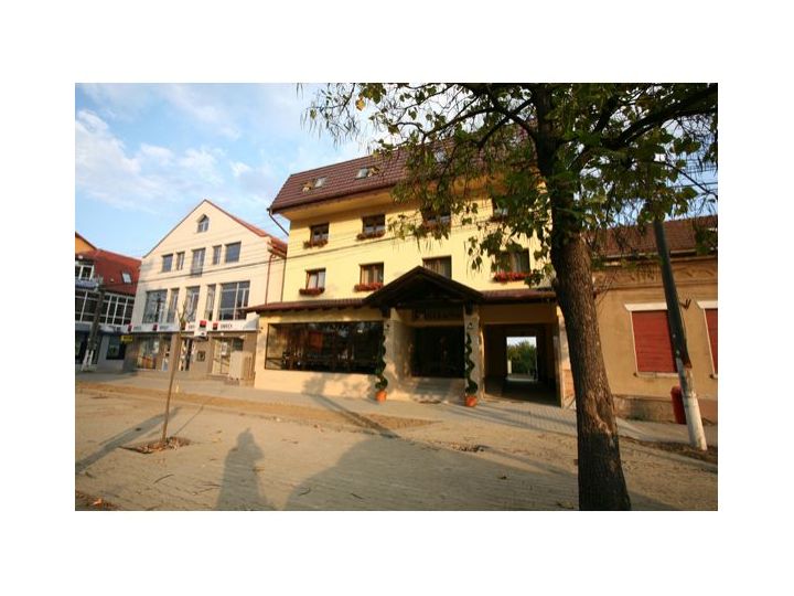 Hotel Crisana, Arad oras - imaginea 