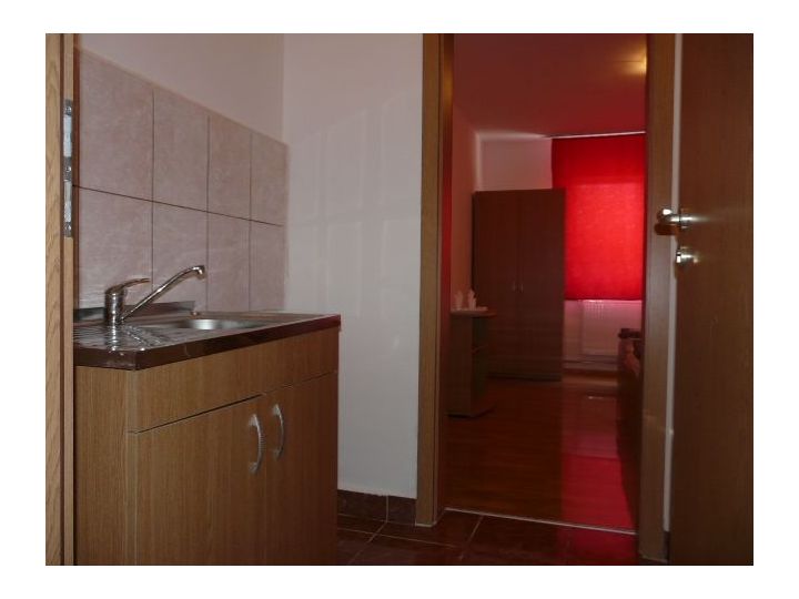 Hostel Moara Cu Noroc, Arad oras - imaginea 