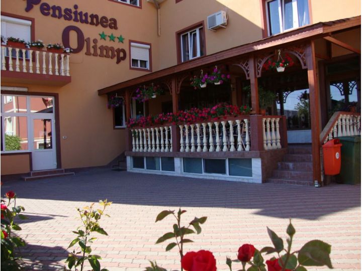 Pensiunea Olimp 2000, Arad oras - imaginea 