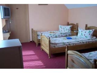 Pensiunea Olimp 2000, Arad oras - 1