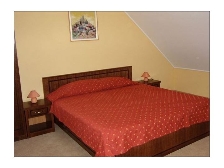Hotel Cris, Chisineu Cris - imaginea 