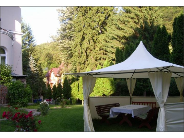 Vila Club Castel, Moneasa - imaginea 