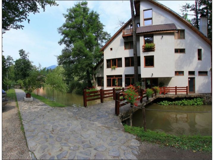 Pensiunea Lacul Linistit, Moneasa - imaginea 