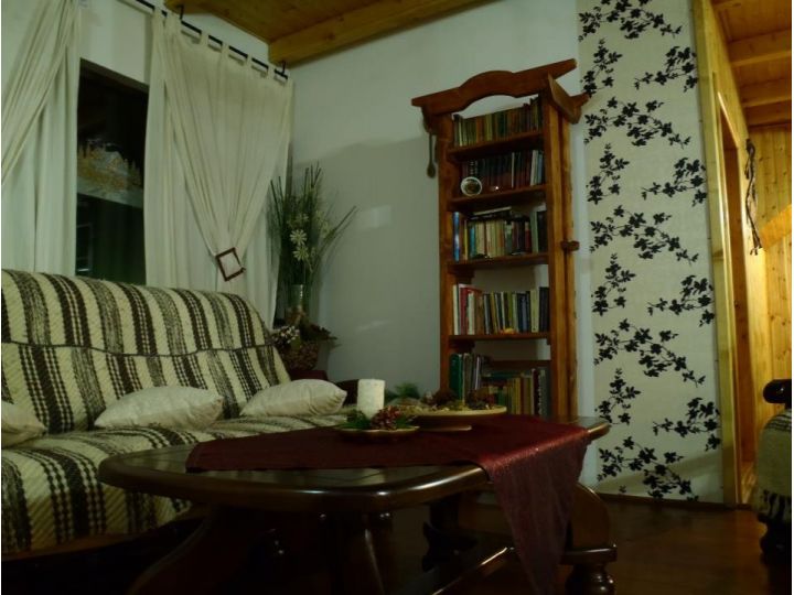 Cabana Frasin, Dragoslavele - imaginea 