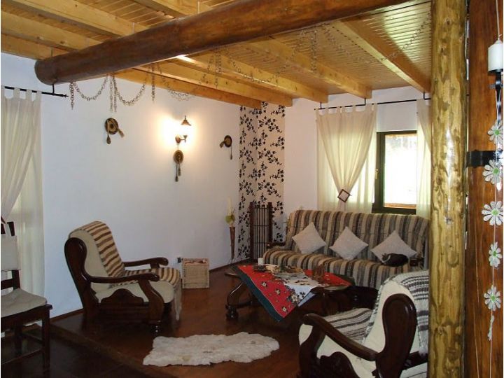 Cabana Frasin, Dragoslavele - imaginea 
