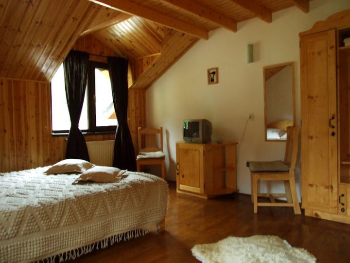Cabana Frasin, Dragoslavele - imaginea 