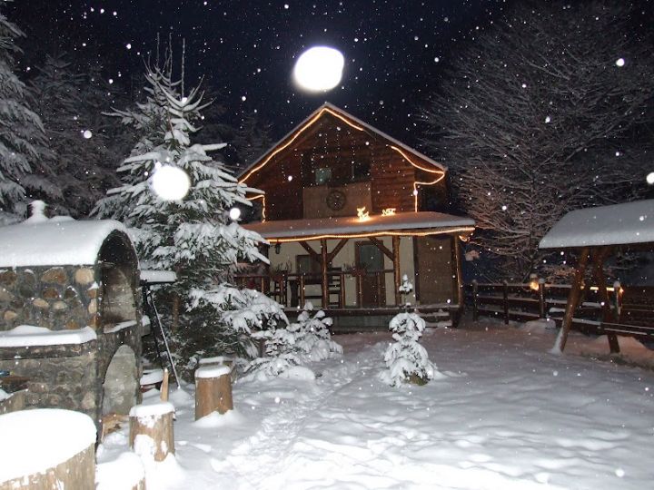 Cabana Frasin, Dragoslavele - imaginea 