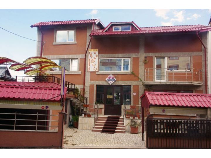Pensiunea Crisliv, Pitesti - imaginea 