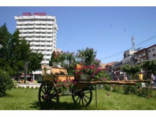 Hotel Decebal, Bacau Oras - 3