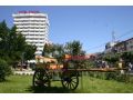 Hotel Decebal, Bacau Oras - thumb 3