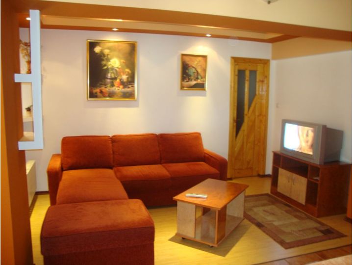 Apartamentul Stefan, Bacau Oras - imaginea 