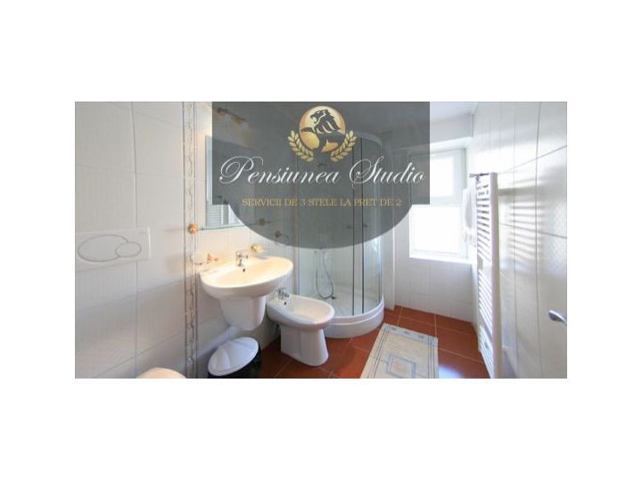 Pensiunea Studio, Bacau Oras - imaginea 