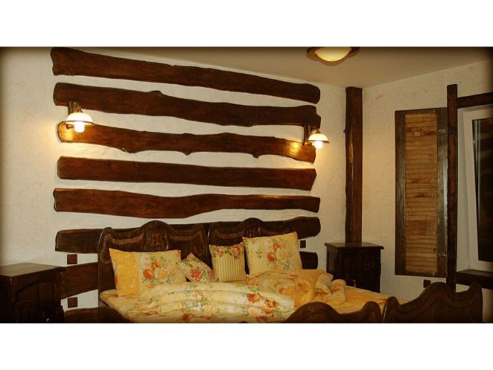 Pensiunea Antik Haus, Hemeius - imaginea 
