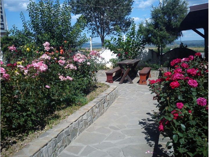 Motel Travel Europa, Itesti - imaginea 
