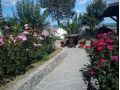 Motel Travel Europa, Itesti - thumb 14