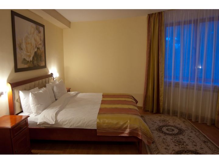 Hotel Nemira, Slanic Moldova - imaginea 