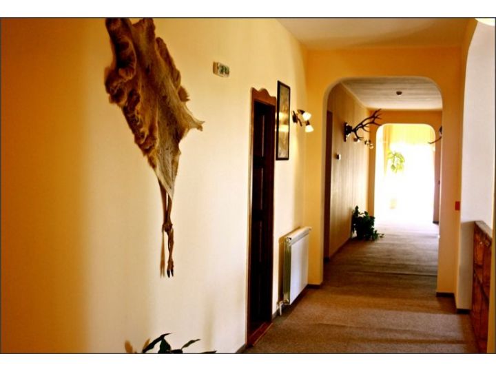 Hotel Millenium, Madaras - imaginea