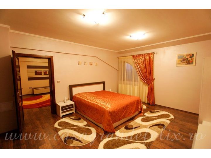 Pensiunea Casa Grande, Sanmartin - imaginea 