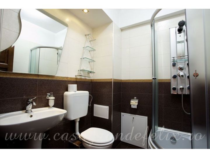 Pensiunea Casa Grande, Sanmartin - imaginea 