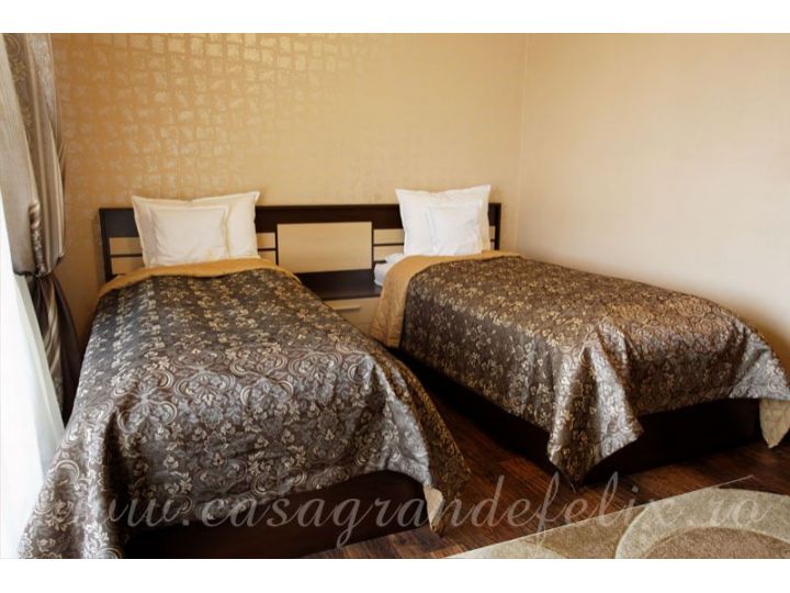 Pensiunea Casa Grande, Sanmartin - imaginea 