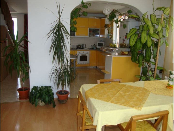 Pensiunea Casa Ica, Sanmartin - imaginea 