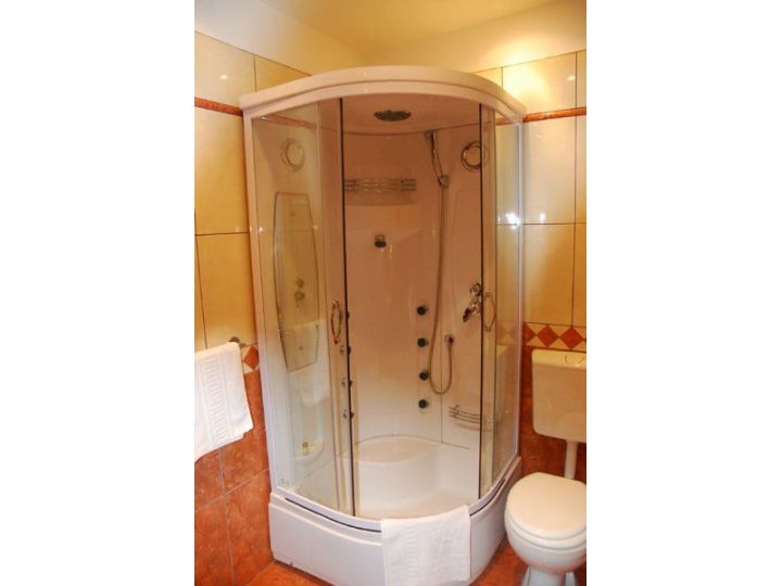 Pensiunea Casa Optima, Sanmartin - imaginea 