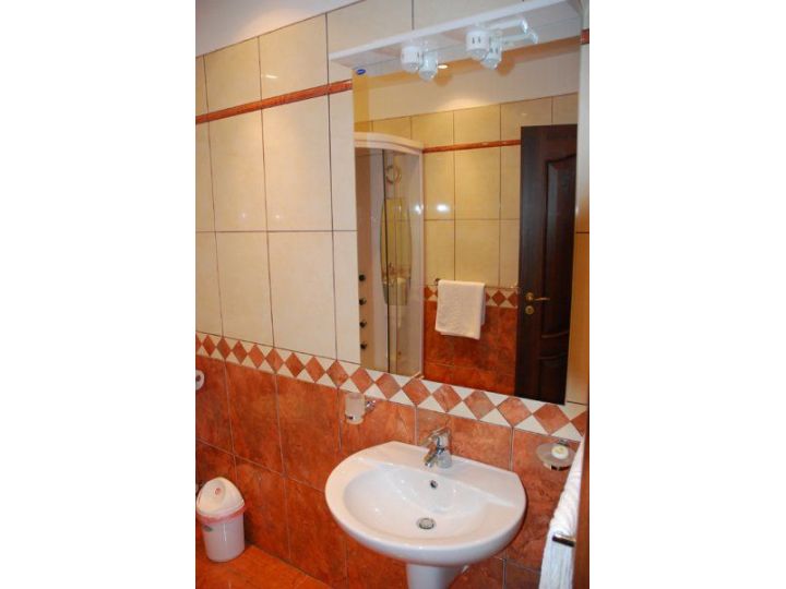 Pensiunea Casa Optima, Sanmartin - imaginea 