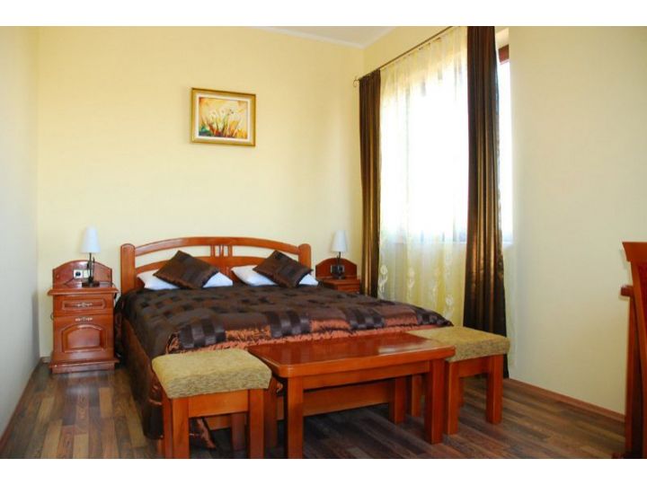 Pensiunea Casa Optima, Sanmartin - imaginea 