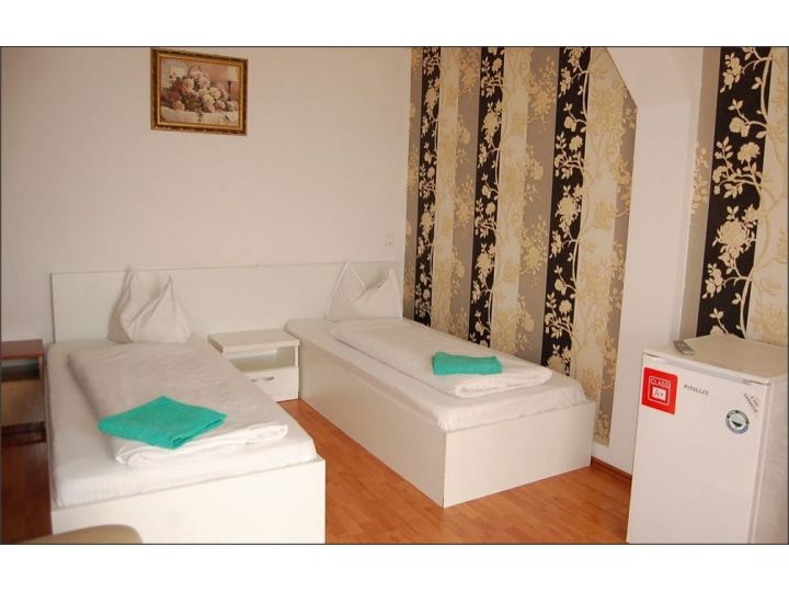 Pensiunea Rozeclas, Sanmartin - imaginea 