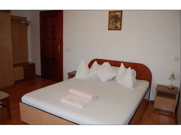 Pensiunea Rozeclas, Sanmartin - imaginea 