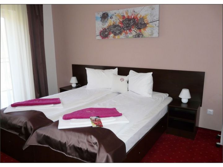 Pensiunea Roua Muntilor, Vadul Crisului - imaginea 